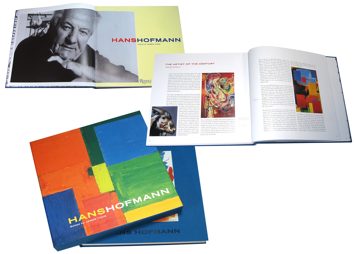 <em>Hans Hofmann</em> published by Rizzoli, 296 pages